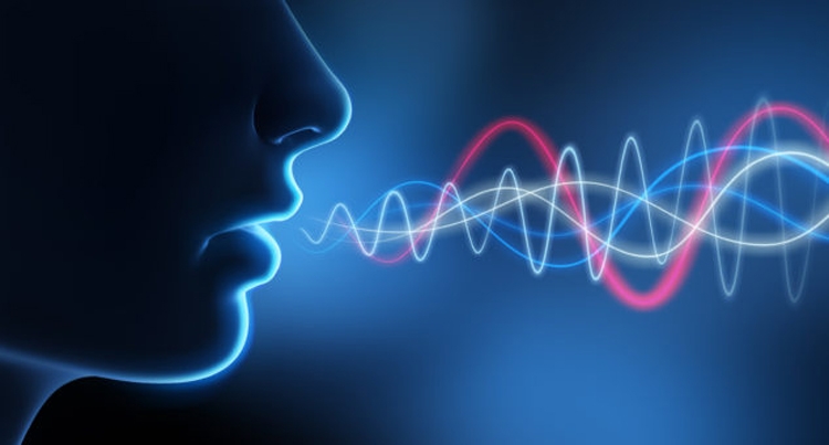 Фото - «Сбербанк» внедрит систему голосовой биометрии»