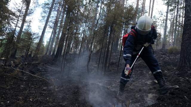 Фото - Депутат предложила ввести уголовную ответственность за поджог леса