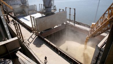 Фото - Минобороны Турции: объем вывезенного с Украины зерна превысил 1 млн тонн
