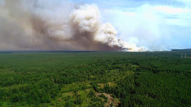 Фото - В Минприроды назвали жару и поджоги причинами пожаров в ЦФО