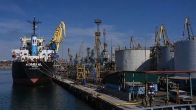 Фото - Marine Traffic: два корабля с продовольствием с Украины прибыли в пункты назначения