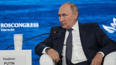 Фото - Путин поручил МИД проработать вопрос поставок удобрений РФ через порты Европы