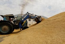 Фото - МИД: Россия недовольна, как снимаются ограничения с ее экспорта в рамках зерновой сделки