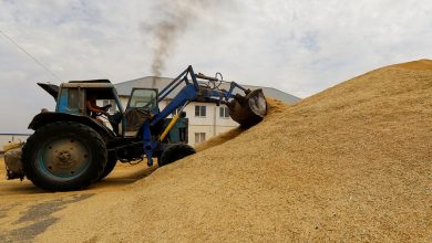 Фото - МИД: Россия недовольна, как снимаются ограничения с ее экспорта в рамках зерновой сделки