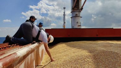Фото - Зеленский призвал продлить «зерновую сделку» вне зависимости от желания России